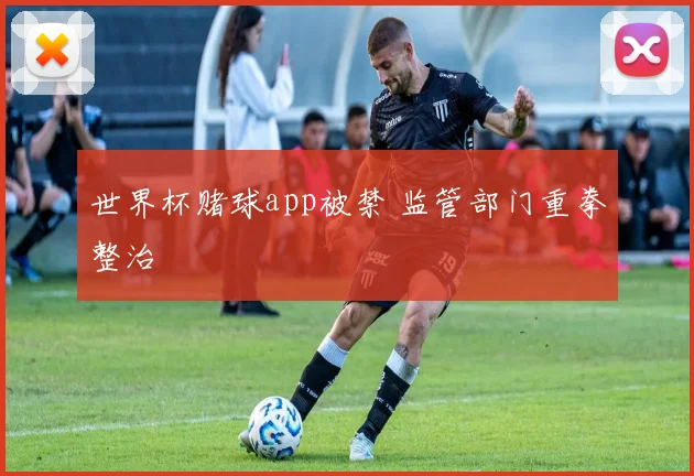 世界杯赌球app被禁 监管部门重拳整治
