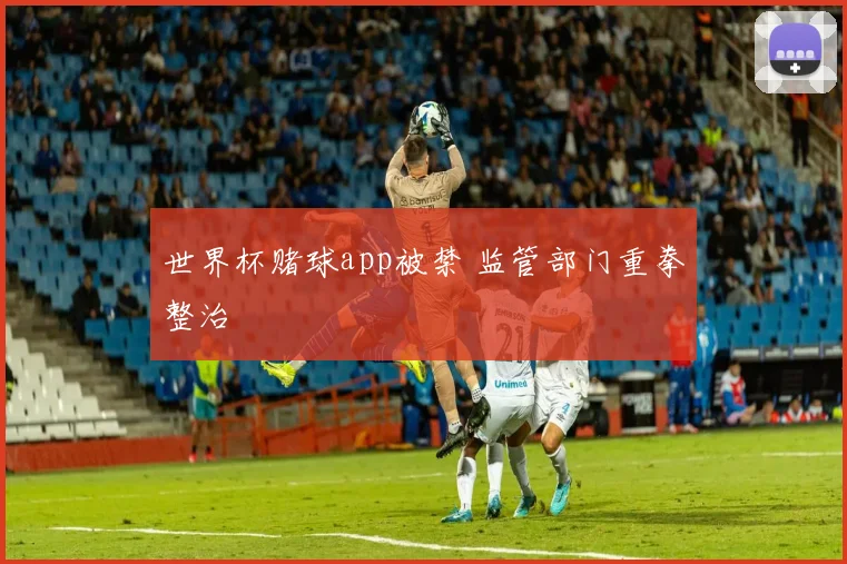 世界杯赌球app被禁 监管部门重拳整治