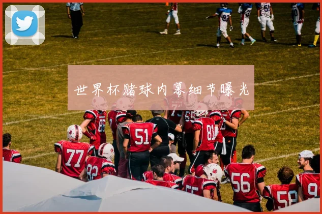 世界杯赌球内幕细节曝光