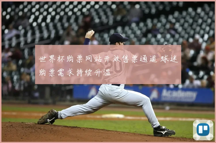 世界杯购票网站开放售票通道 球迷购票需求持续升温