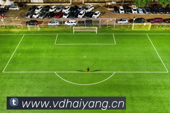 leyu乐鱼在线登录入口平台生态图